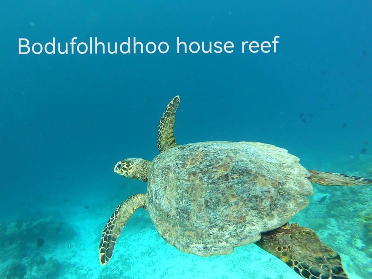 Surfretreat Hotel Bodufolhudhoo Buitenkant foto