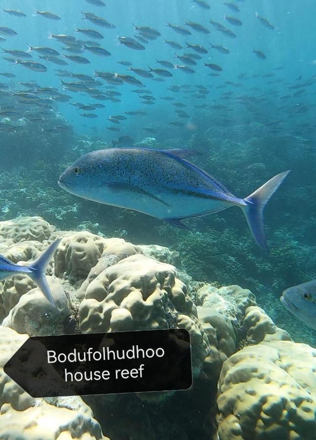 Surfretreat Hotel Bodufolhudhoo Buitenkant foto